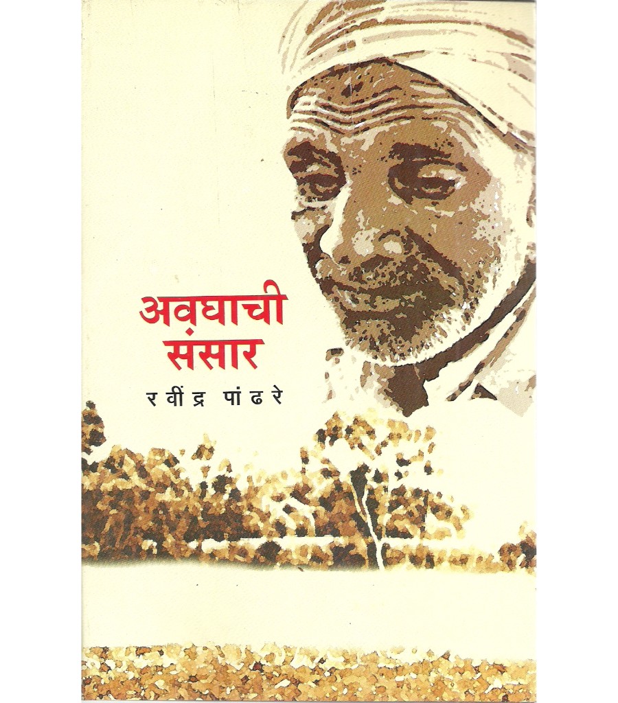अवघाची संसार